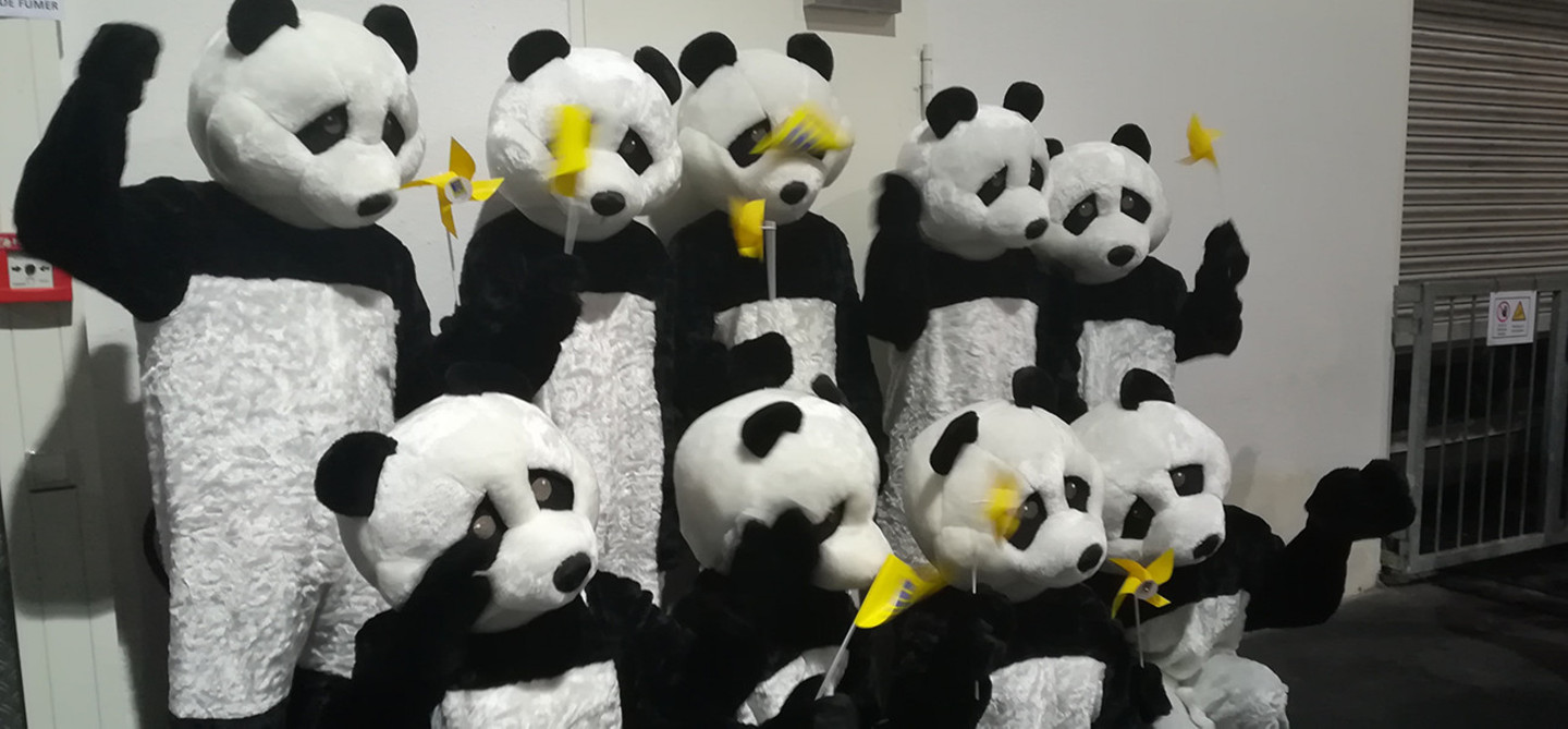 Panda-Aktion