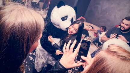 Panda Gewinnspiel